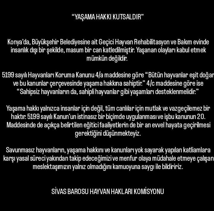 20221127-061338756_IMG-20221127-WA0001