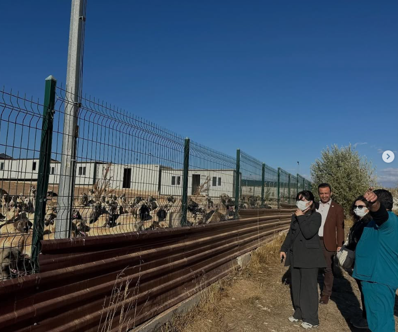 Ekran görüntüsü 2025-10-06 095948